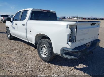 Lot #3035089040 2020 CHEVROLET SILVERADO 1500 4WD  STANDARD BED WT