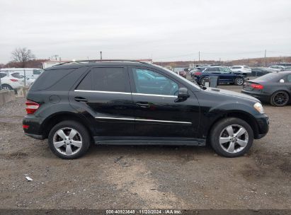 Lot #2995279021 2011 MERCEDES-BENZ ML 350 4MATIC