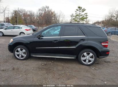 Lot #2995279021 2011 MERCEDES-BENZ ML 350 4MATIC