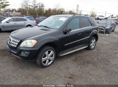 Lot #2995279021 2011 MERCEDES-BENZ ML 350 4MATIC