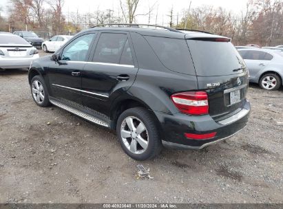 Lot #2995279021 2011 MERCEDES-BENZ ML 350 4MATIC