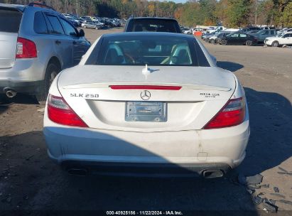 Lot #3056069218 2015 MERCEDES-BENZ SLK 250