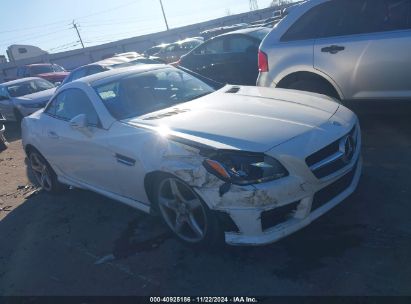 Lot #3056069218 2015 MERCEDES-BENZ SLK 250