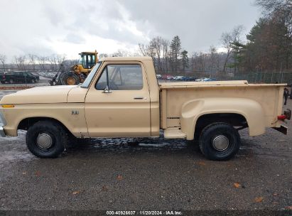 Lot #2992820928 1976 FORD F100