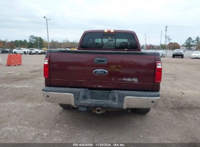 Lot #3053062348 2010 FORD F-250 CABELA'S/HARLEY-DAVIDSON/KING RANCH/LARIAT/XL/XLT