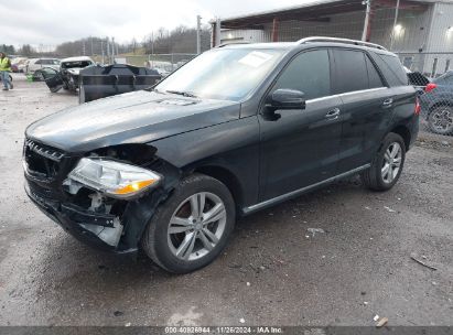 Lot #3050078967 2015 MERCEDES-BENZ ML 350 4MATIC