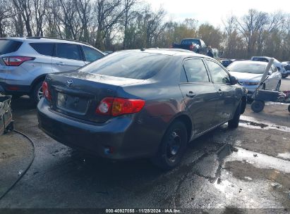 Lot #3035082089 2010 TOYOTA COROLLA LE