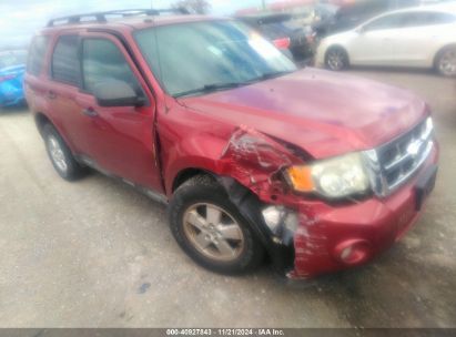 Lot #3035082079 2012 FORD ESCAPE XLT