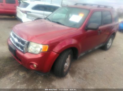 Lot #3035082079 2012 FORD ESCAPE XLT