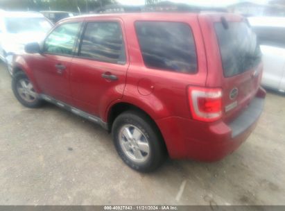 Lot #3035082079 2012 FORD ESCAPE XLT