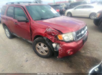 Lot #3035082079 2012 FORD ESCAPE XLT