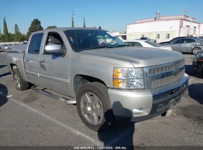 Lot #3035093745 2009 CHEVROLET SILVERADO 1500 LT