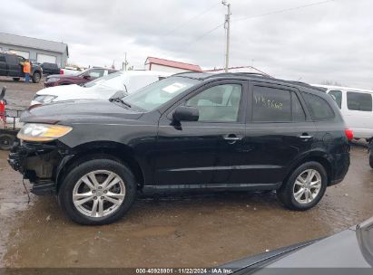 Lot #3034053407 2011 HYUNDAI SANTA FE LIMITED