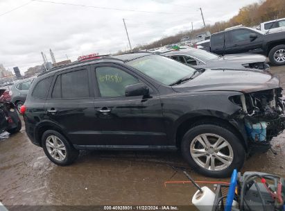 Lot #3034053407 2011 HYUNDAI SANTA FE LIMITED