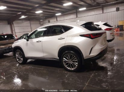 Lot #3050083406 2022 LEXUS NX 350 LUXURY