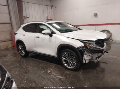 Lot #3050083406 2022 LEXUS NX 350 LUXURY