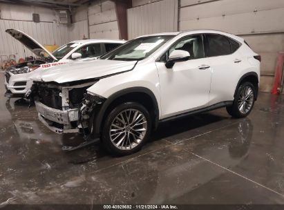 Lot #3050083406 2022 LEXUS NX 350 LUXURY