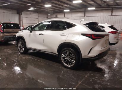 Lot #3050083406 2022 LEXUS NX 350 LUXURY