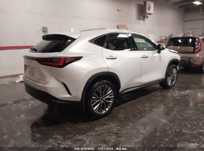 Lot #3050083406 2022 LEXUS NX 350 LUXURY