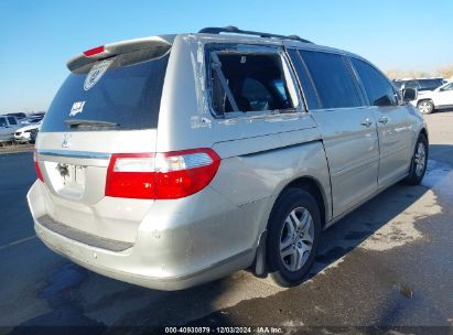 Lot #3035089024 2006 HONDA ODYSSEY TOURING