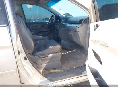 Lot #3035089024 2006 HONDA ODYSSEY TOURING