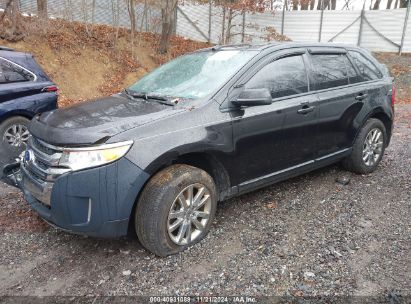 Lot #2997769476 2014 FORD EDGE SEL