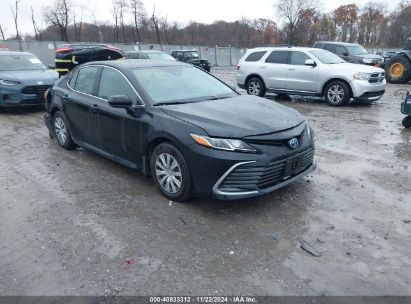 Lot #3052074530 2024 TOYOTA CAMRY HYBRID LE