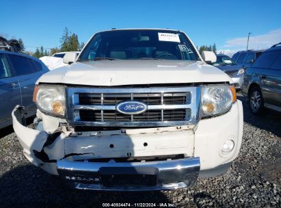 Lot #3035093674 2011 FORD ESCAPE LIMITED