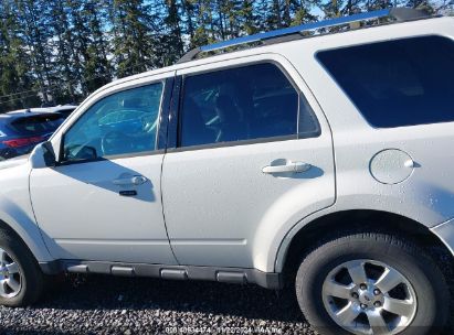 Lot #3035093674 2011 FORD ESCAPE LIMITED