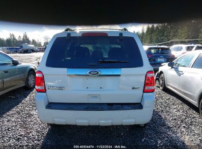 Lot #3035093674 2011 FORD ESCAPE LIMITED