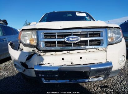 Lot #3035093674 2011 FORD ESCAPE LIMITED