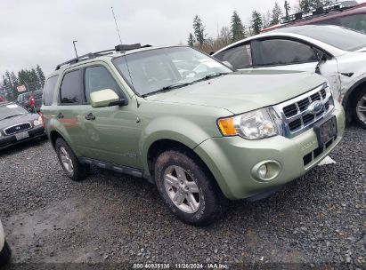 Lot #3035093660 2008 FORD ESCAPE HYBRID