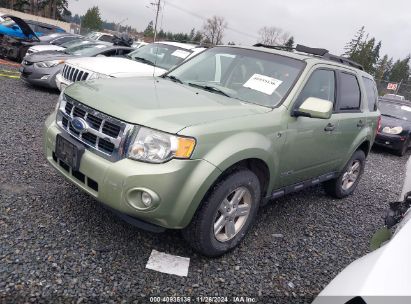 Lot #3035093660 2008 FORD ESCAPE HYBRID