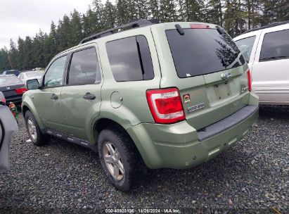 Lot #3035093660 2008 FORD ESCAPE HYBRID