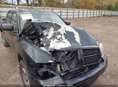 Lot #3034053150 2007 DODGE DAKOTA SLT