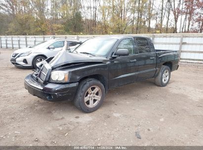 Lot #3034053150 2007 DODGE DAKOTA SLT