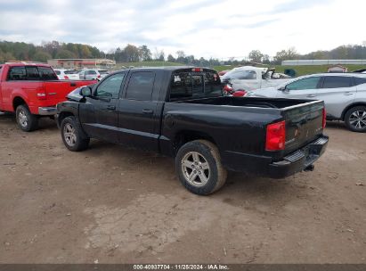 Lot #3034053150 2007 DODGE DAKOTA SLT