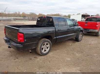 Lot #3034053150 2007 DODGE DAKOTA SLT