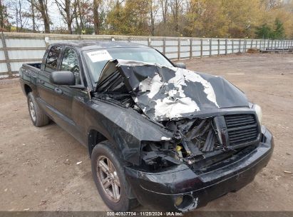 Lot #3034053150 2007 DODGE DAKOTA SLT