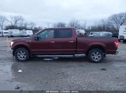 Lot #3035081947 2017 FORD F-150 XLT