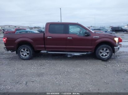 Lot #3035081947 2017 FORD F-150 XLT