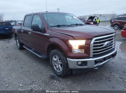 Lot #3035081947 2017 FORD F-150 XLT