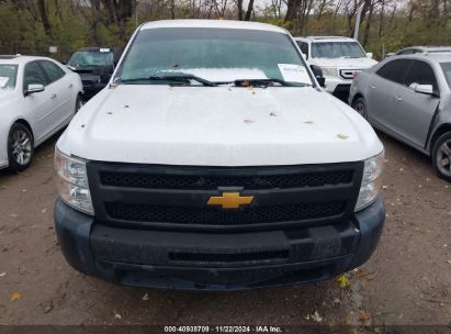 Lot #3005343536 2013 CHEVROLET SILVERADO 1500 WORK TRUCK