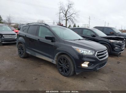 Lot #3034053037 2019 FORD ESCAPE SE