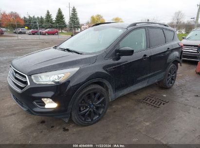 Lot #3034053037 2019 FORD ESCAPE SE