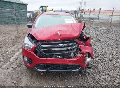 Lot #3042567835 2019 FORD ESCAPE SEL