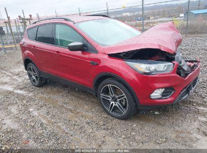 Lot #3042567835 2019 FORD ESCAPE SEL