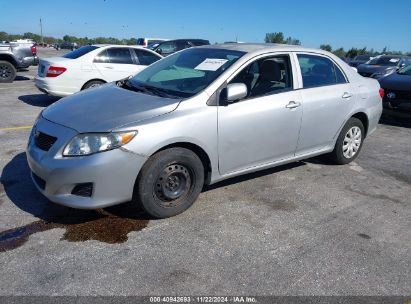 Lot #3034053387 2010 TOYOTA COROLLA LE