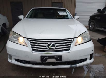 Lot #3034053391 2010 LEXUS ES 350