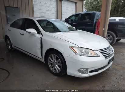 Lot #3034053391 2010 LEXUS ES 350